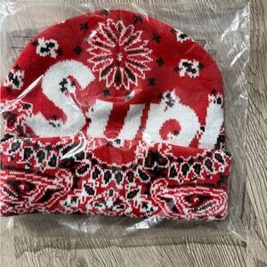 Red Paisley Supreme Big Logo Beanie
